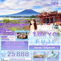 Gallery 0
